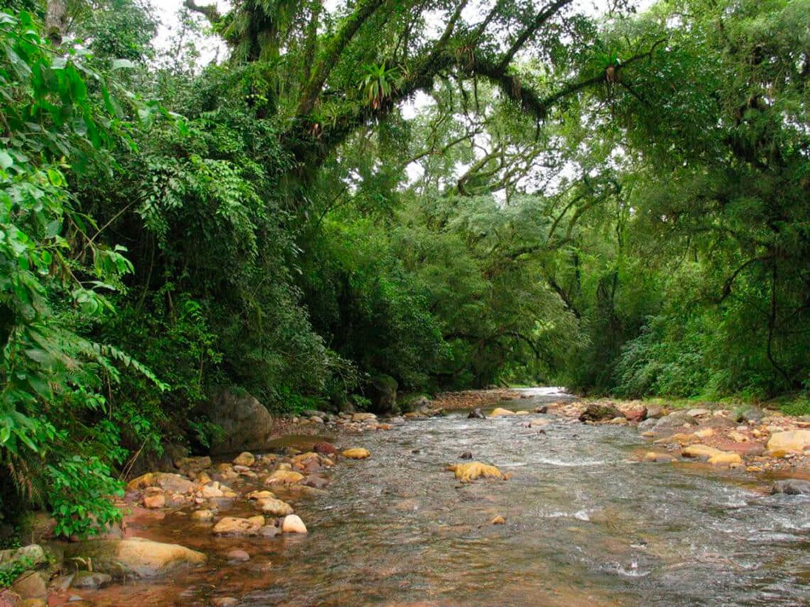 Parque Nacional El Rey Provincia De Salta Tripin Argentina