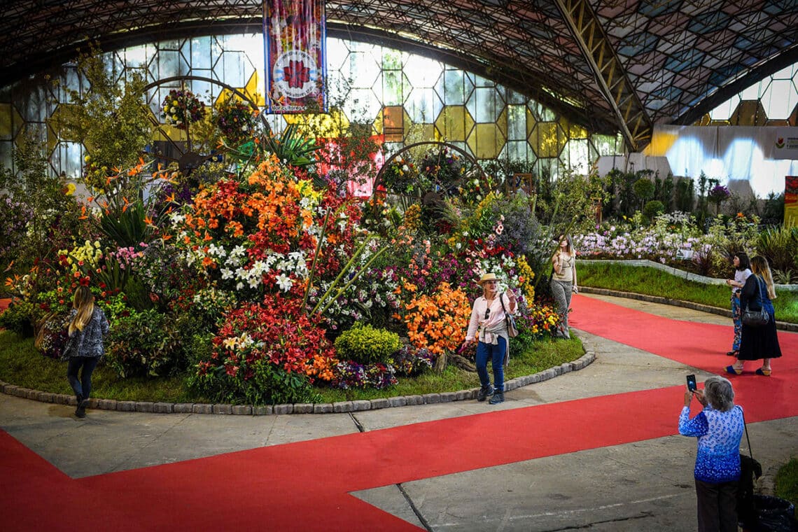 Fiesta Nacional de la Flor, un clásico con casi 60 años de historia