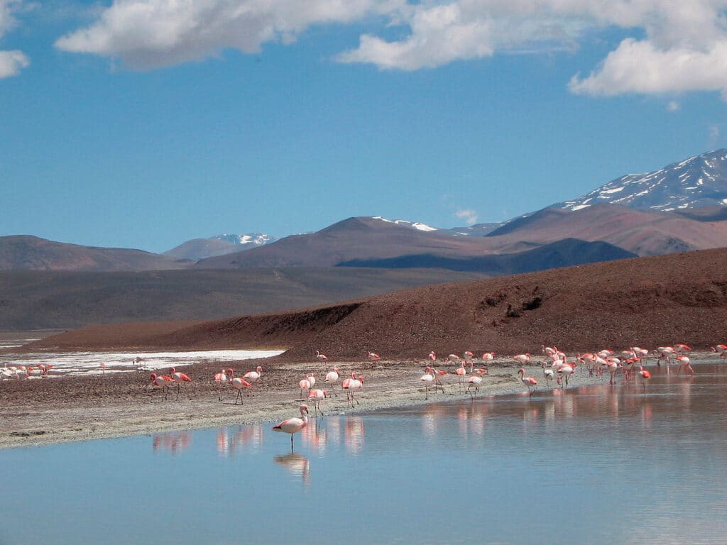 Reserva Laguna Brava, La Rioja