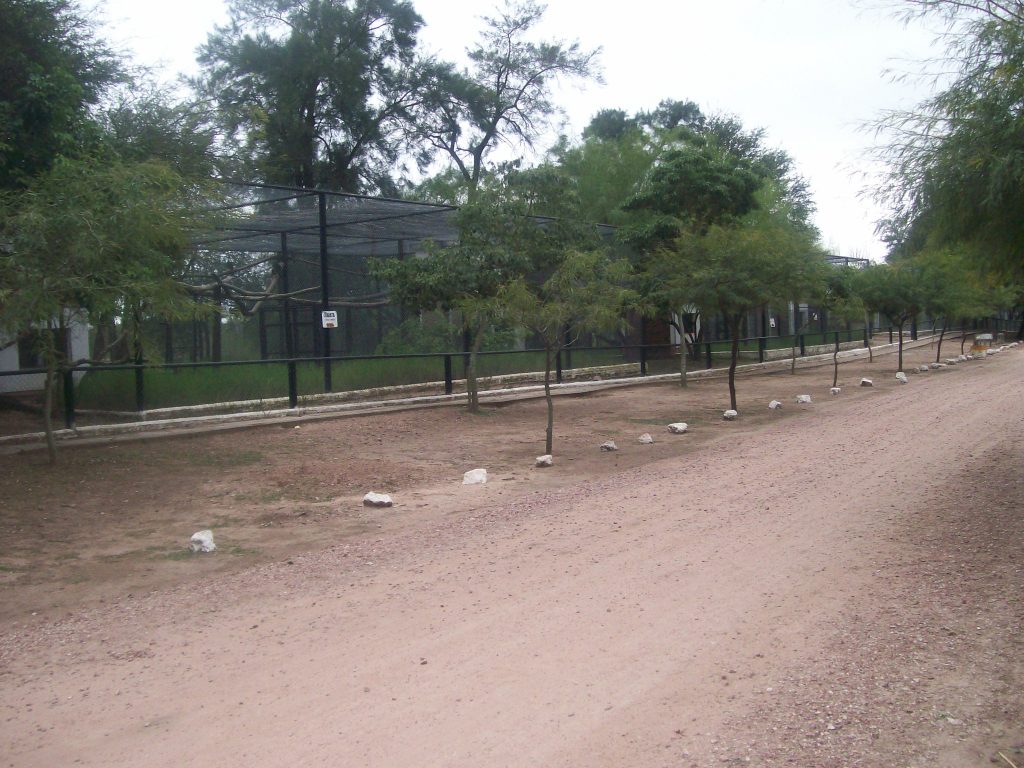 Camino al Zoo de Roque Saenz Peña