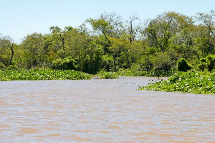 Villa Río Bermejito, provincia de Chaco Tripin Argentina