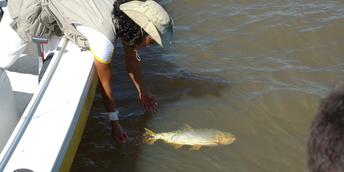 Pesca deportiva en Isla del Cerrito, Chaco