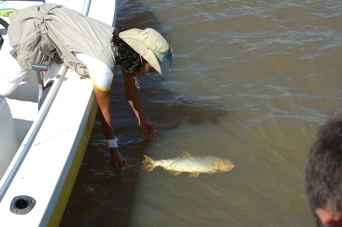 Pesca deportiva en Isla del Cerrito, Chaco