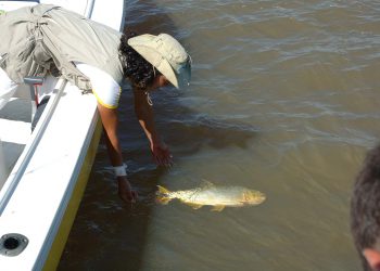 Pesca deportiva en Isla del Cerrito, Chaco