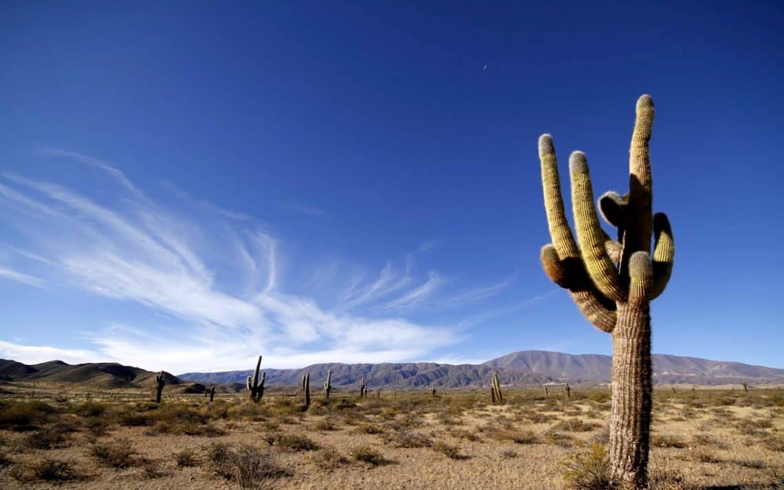 Parque Nacional Los Cardones, Salta - @Ricardo Perez - www.parquesnacionales.gob.ar