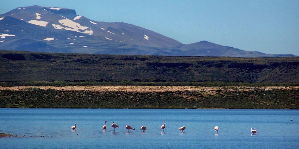 Parque Nacional Laguna Blanca, Neuquén