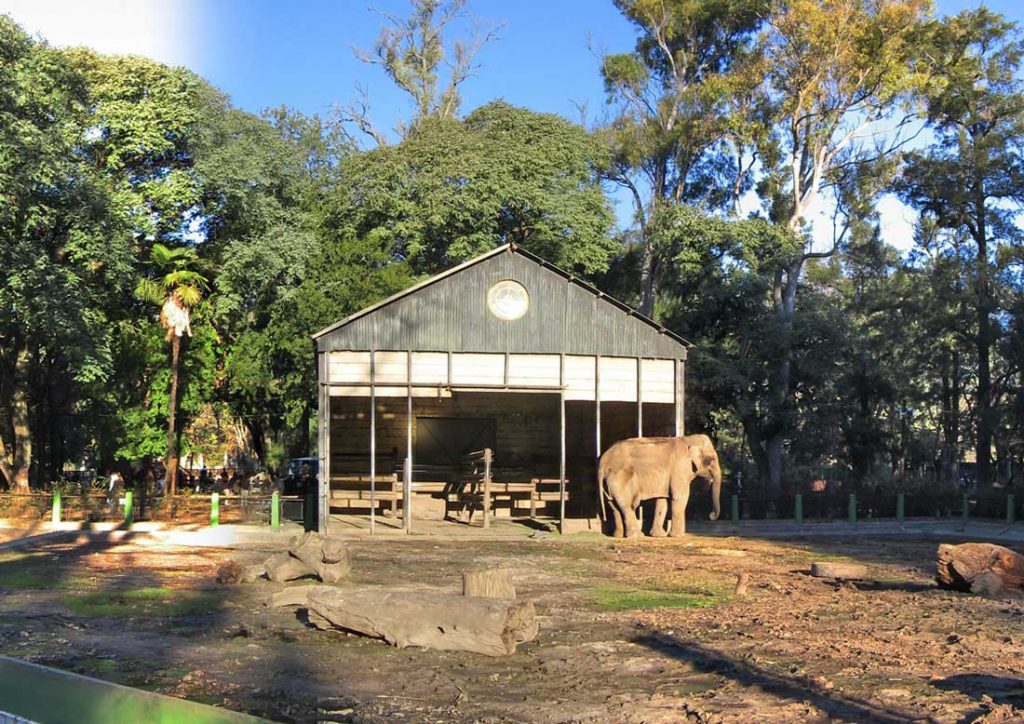 Zoológico de La Plata, misteriosdelaplata.blogspot.com.ar