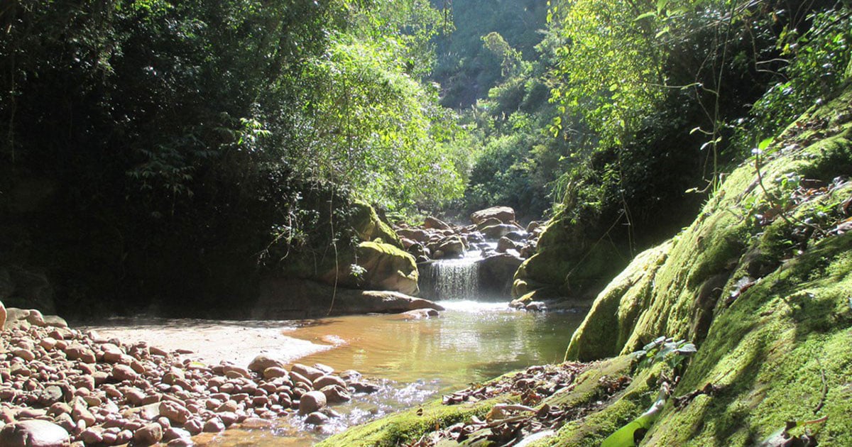 Parque Nacional El Rey, provincia de Salta - Tripin Argentina