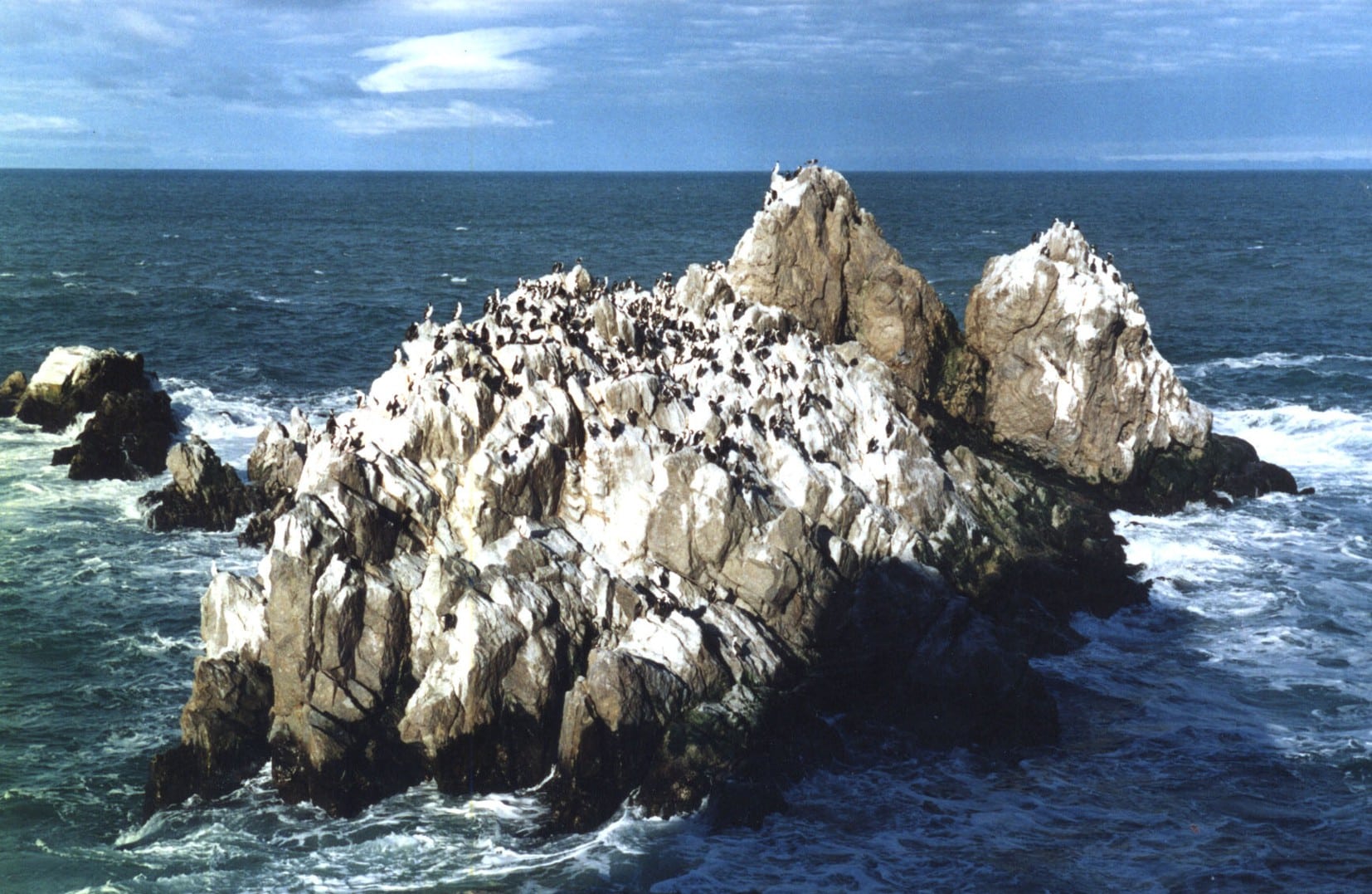Reserva Natural Cabo Blanco, Santa Cruz Tripin Argentina