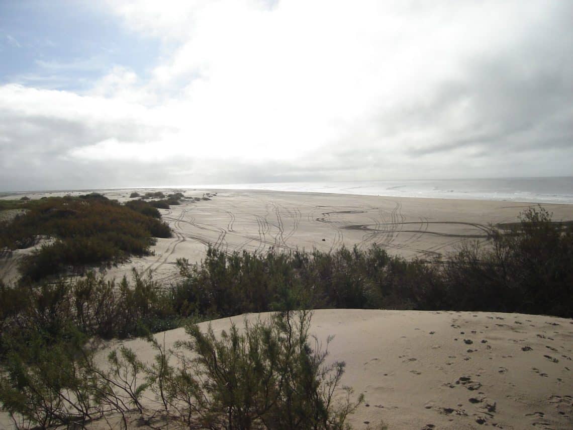 Dunas en San Clemente del Tuyú