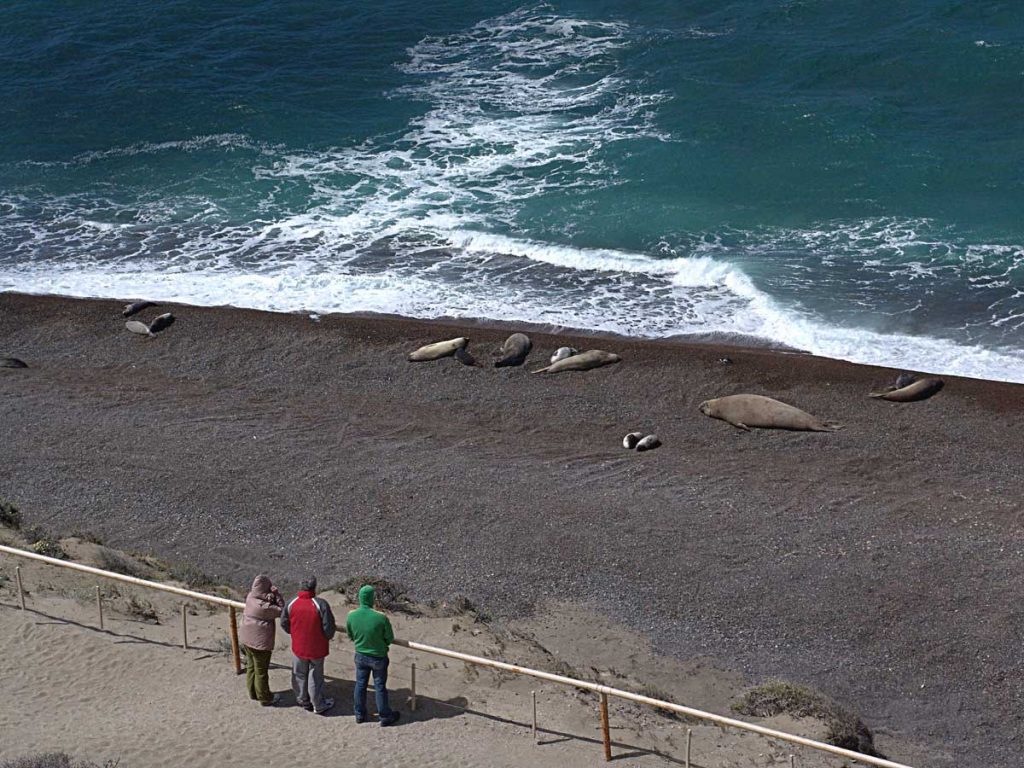 Península Valdés, Chubut - Vicky Fernández