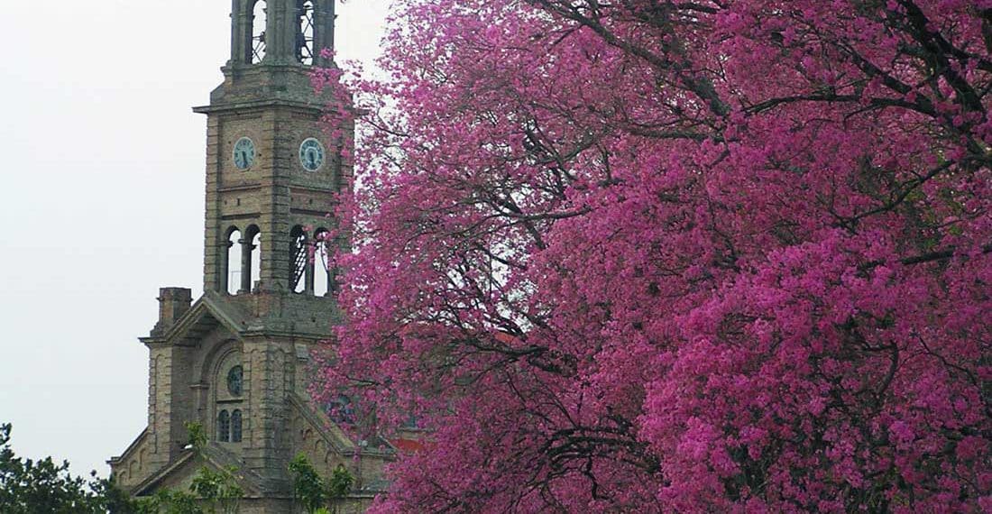 Catedral de Reconquista, Santa Fe