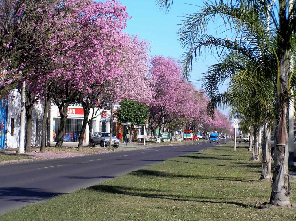 Reconquista, Santa Fe