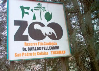Reserva Fitozoológica Dr. Carlos Pellegrini San Pedro de Colalao - tucumán