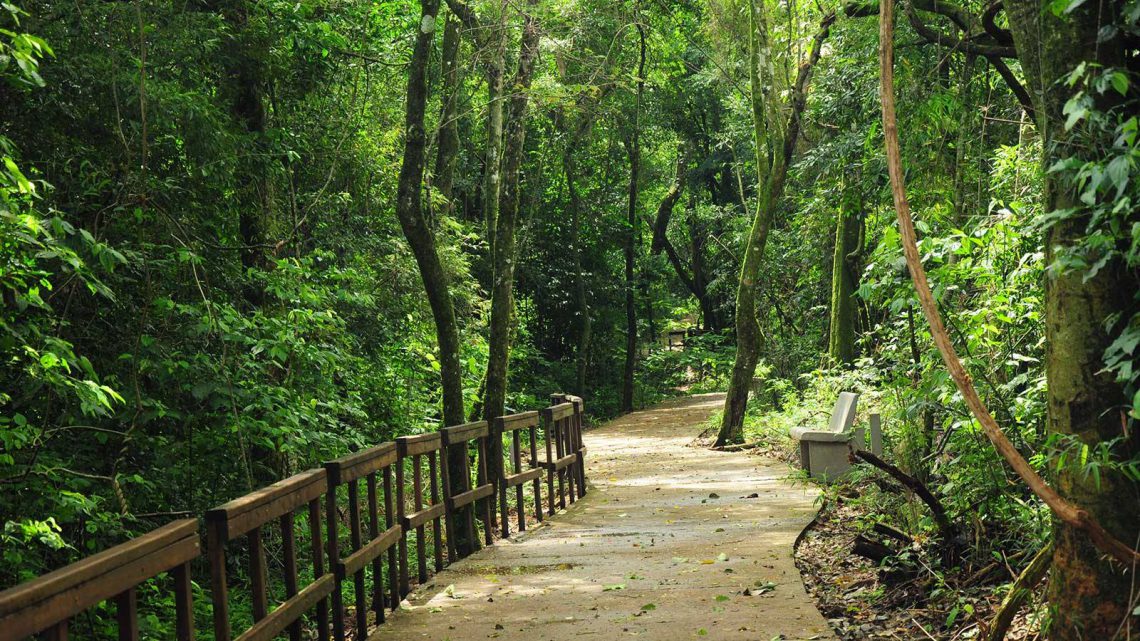 Parque temático de la Cruz, Misiones