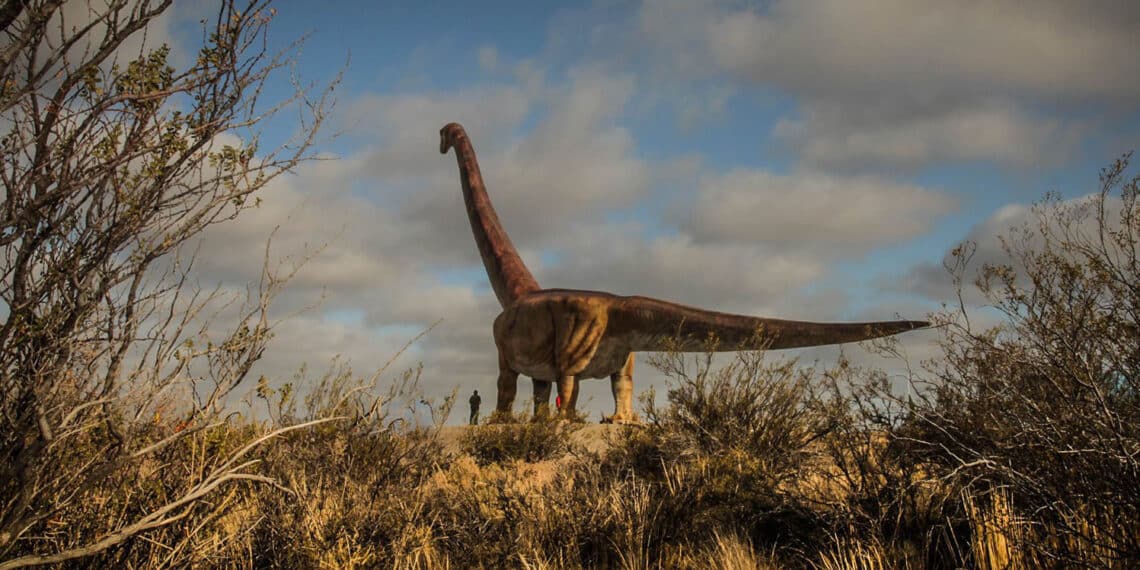 El Dinosaurio mas grande del mundo, Trelew - patagotitan
