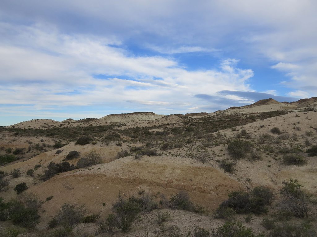 Estepa patagónica en el Geoparque Bryn Gwyn, Trelew, Chubut