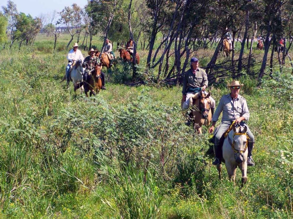 Reserva Ecológica de Victoria, Entre Ríos - ph Dirección de Turismo de Victoria