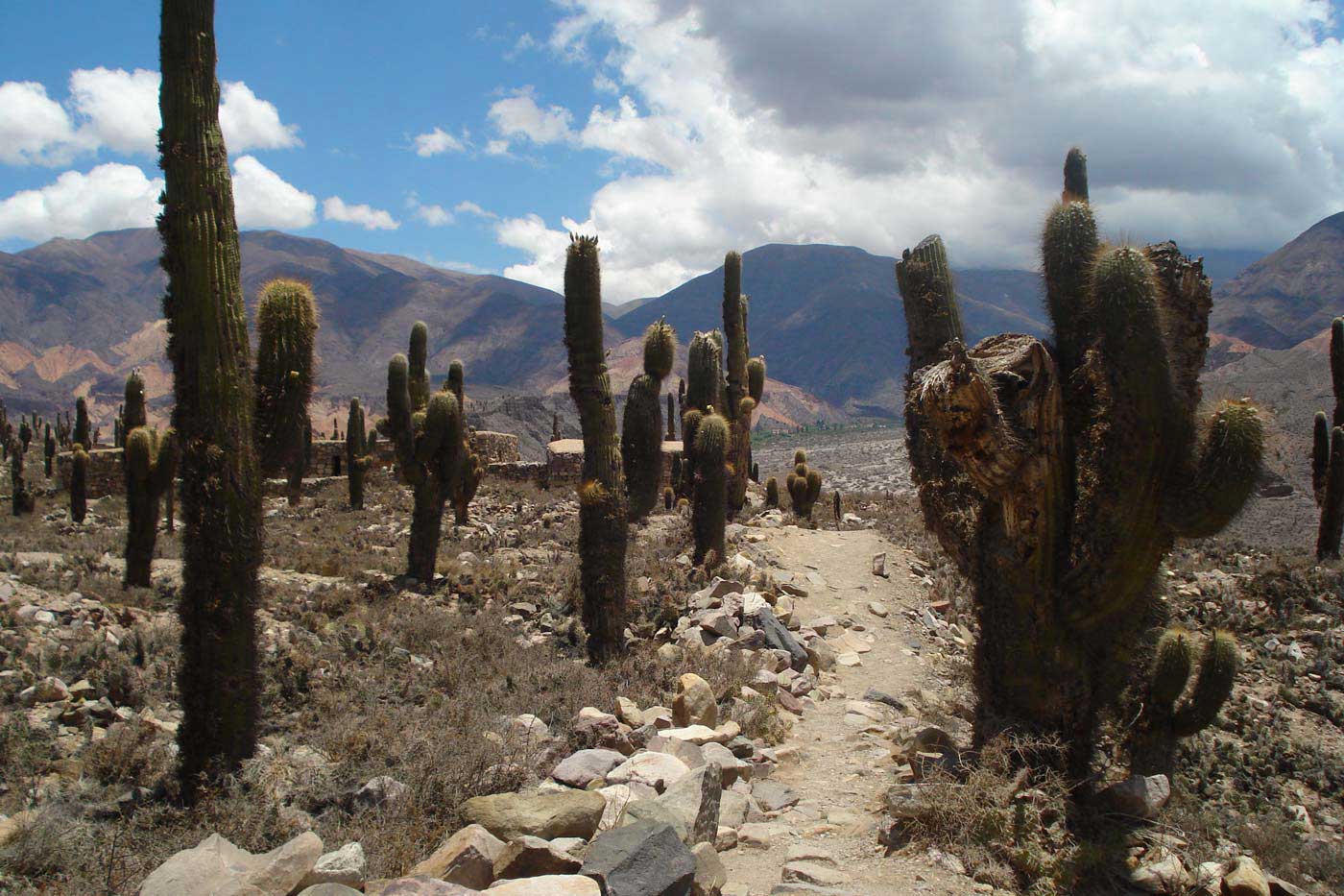 La Quebrada de Humahuaca de Jujuy - Tripin Argentina