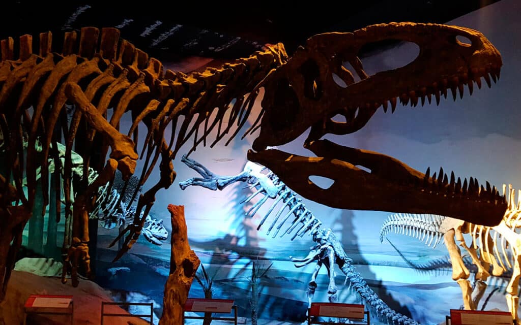 Museo Paleontológico Egidio Feruglio - MEF - Trelew - Chubut