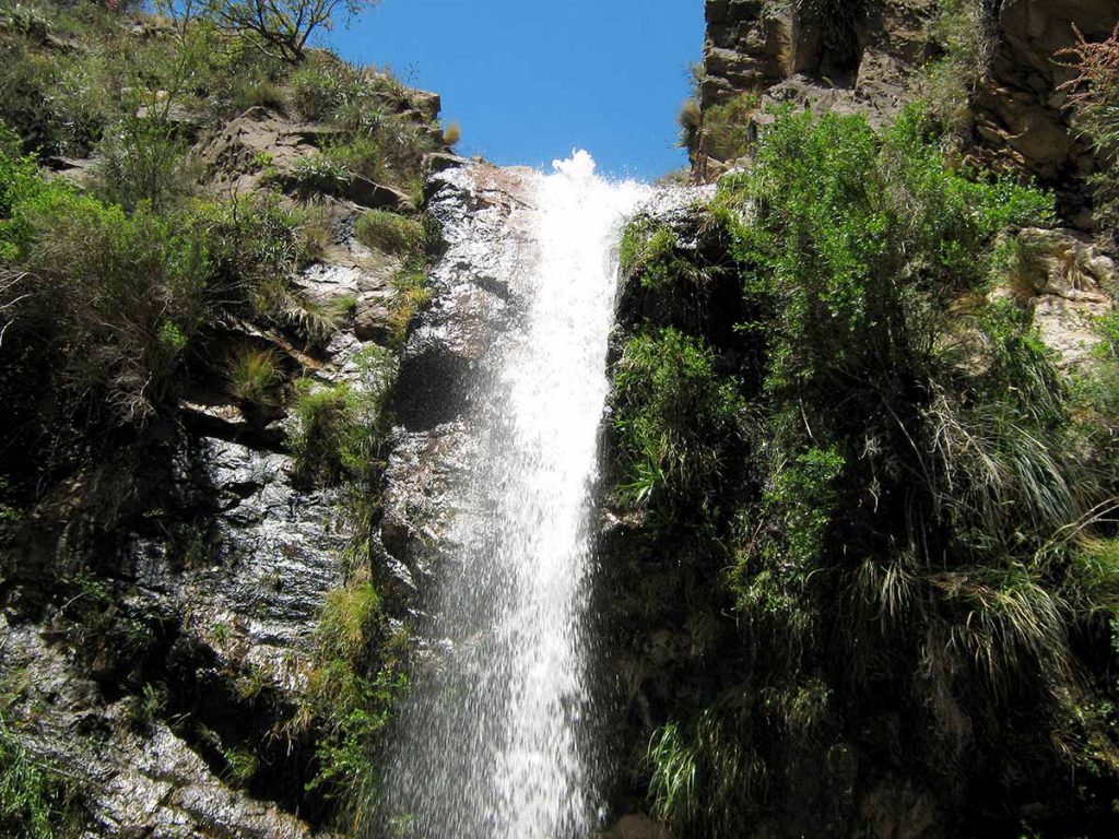 Chorro de San Ignacio, Merlo