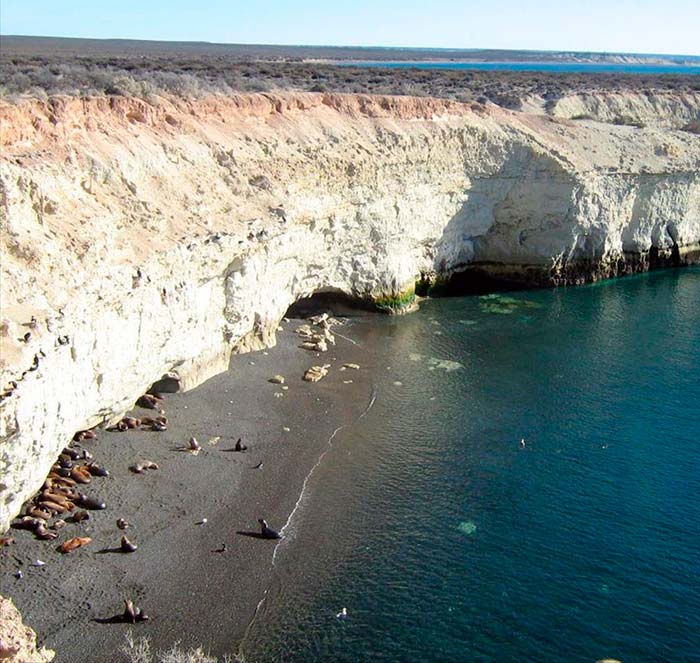 Reserva Punta Loma, Puerto Madryn