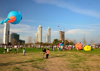 Pintemos el cielo - Festival de Barriletes en Rosario