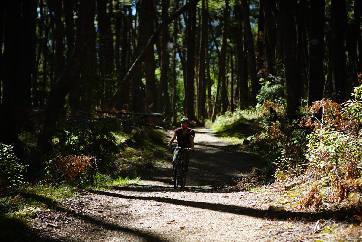 5 Parques Nacionales Para Recorrer En Bici - Tripin