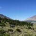 Parque Nacional Perito Moreno - ph Romulo Carpinetti - parquesnacionales.gob.ar
