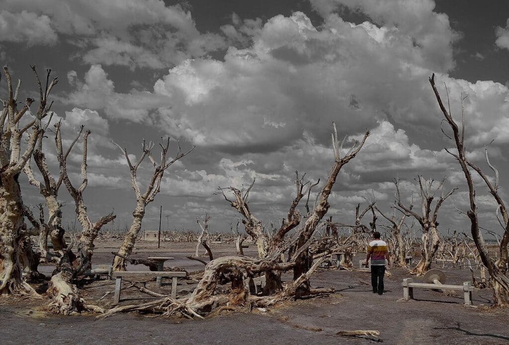 Decir_Adios - Villa Epecuén - foto Amjel105