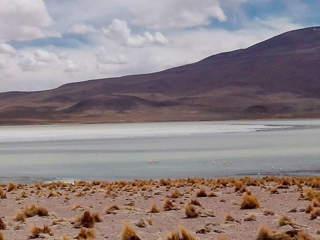 Laguna de Vilama, Sitio Ramsar, Jujuy